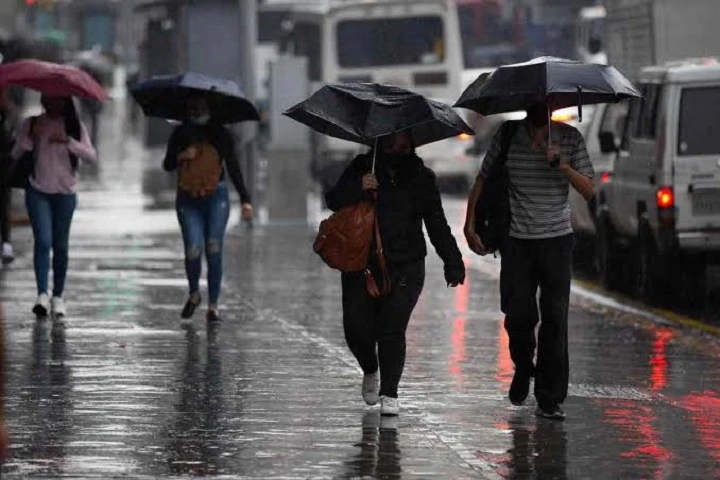 Peatones con paraguas caminan por una calle mojada bajo la lluvia, junto a vehículos estacionados