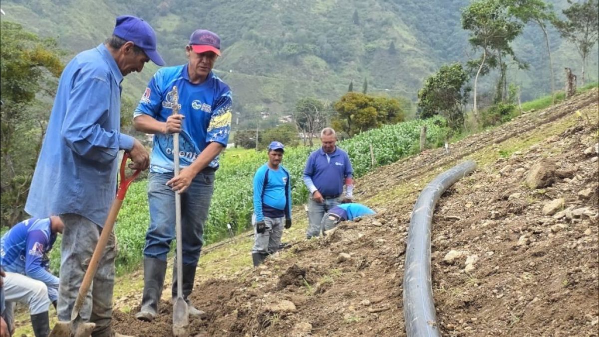 Trabajadores con palas instalan una tubería negra en una ladera de Mérida
