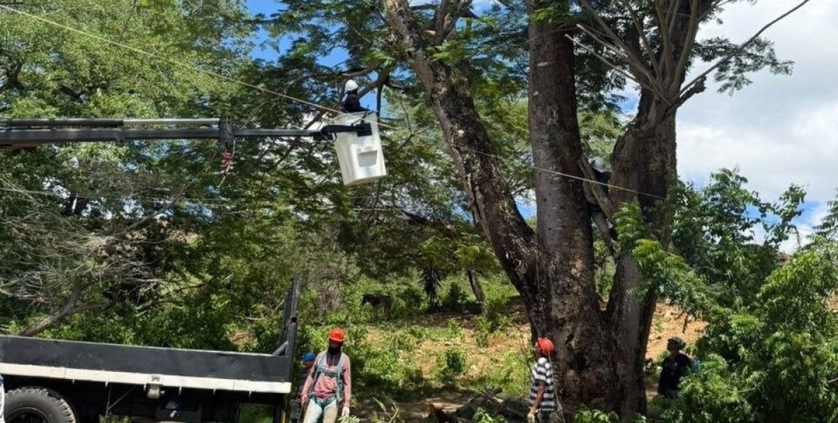 Trabajadores de Corpoelec podan árboles junto a una línea eléctrica en Falcón