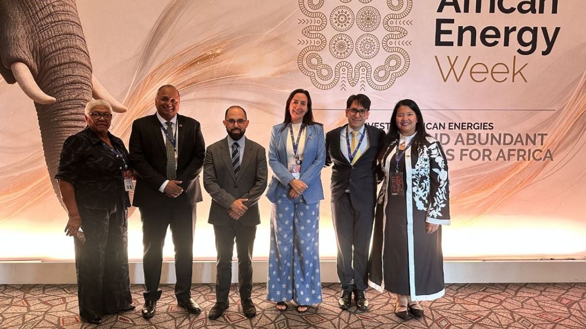 Participantes posan ante el panel de la African Energy Week en Ciudad del Cabo