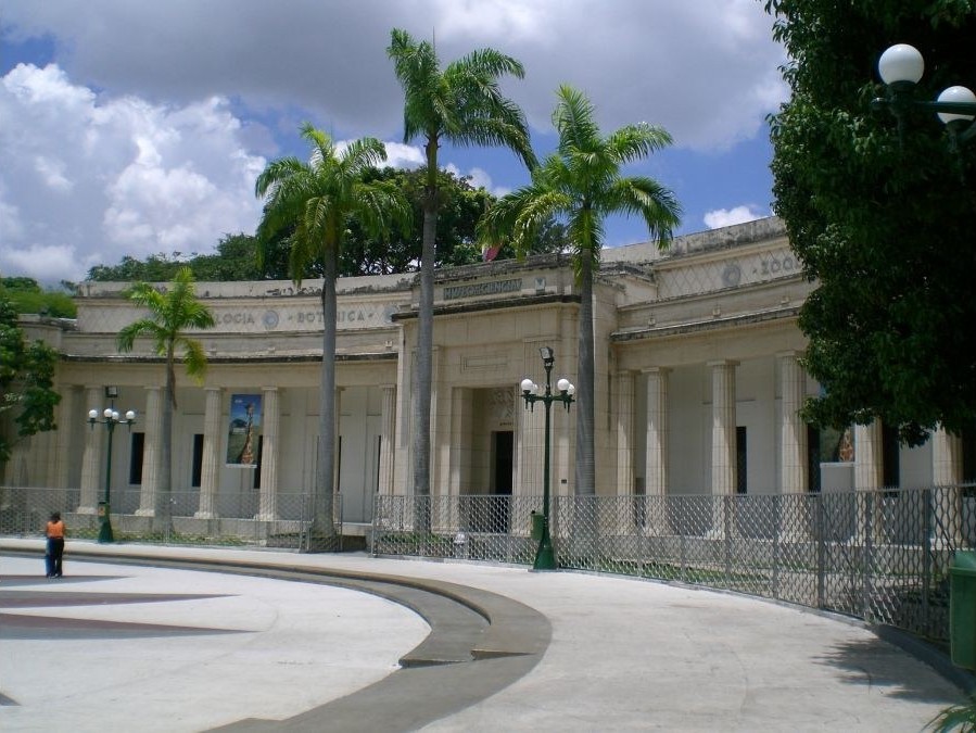 La fachada del Museo de Ciencias, con palmeras al frente